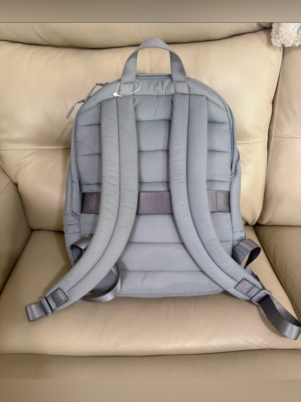๐ Lululemon Puffy Backpack - Picture 3 of 12